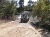 sam_0193-large