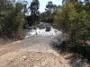 sam_0194-large