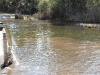 sam_0201-large