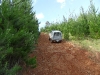 sam_0778-large