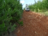 sam_0779-large