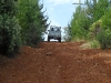 sam_0780-large