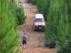 sam_0788-large