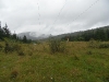 sam_0910-large