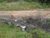 sam_0911-large