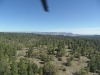 sam_3005-large
