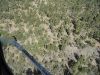 sam_3006-large