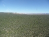 sam_3008-large