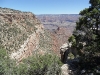 sam_3172-large