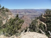 sam_3174-large