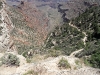 sam_3177-large