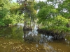 sam_3910-large