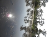 sam_3914-large