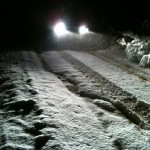 IMG_0233 (Large)