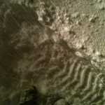 IMG_0247 (Large)
