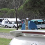 SAM_1537 (Large) SAM_1537 (Large)