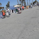 SAM_2314 (Large) SAM_2314 (Large)